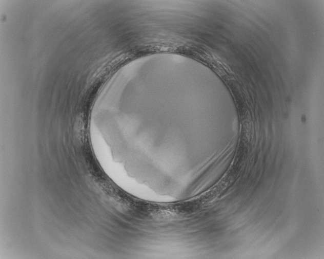 X0000061750594200512302240