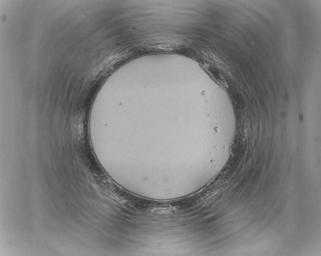 X0000061750595200512302240