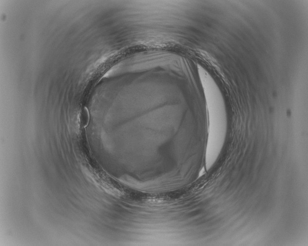 X0000061750596200512302240