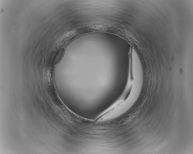 X0000061750597200512302240