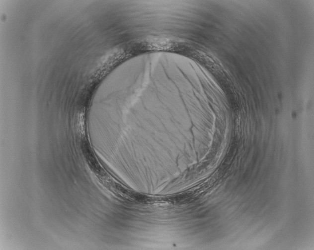 X0000061750598200512302240