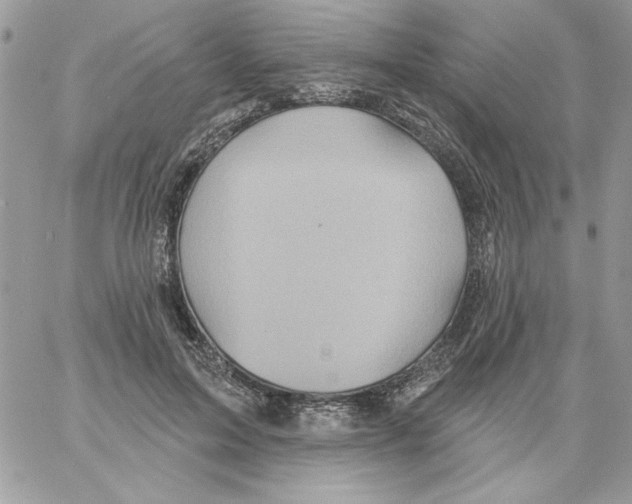 X0000061750599200512302239