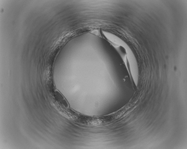 X0000061750600200512302239