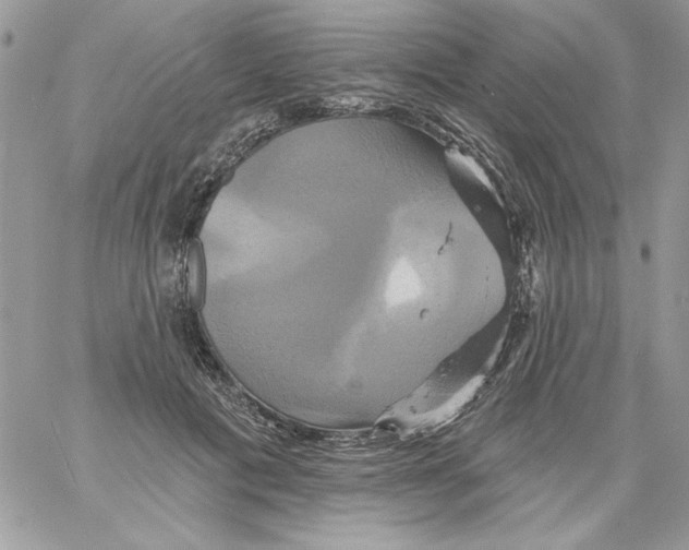 X0000061750601200512302239