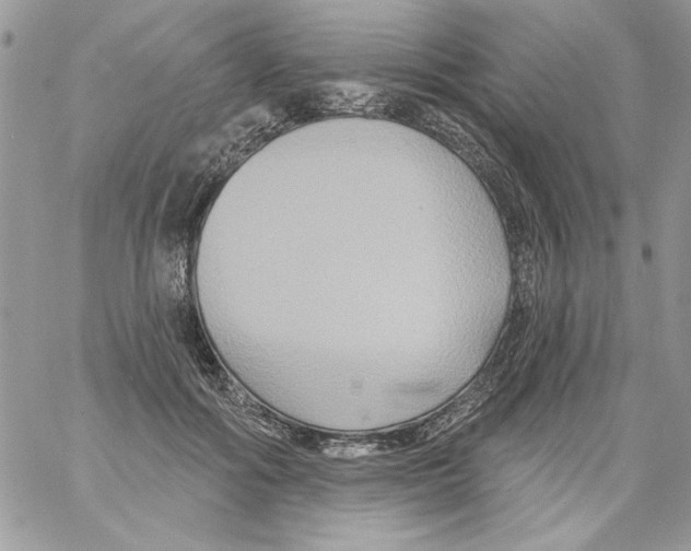 X0000061750602200512302239