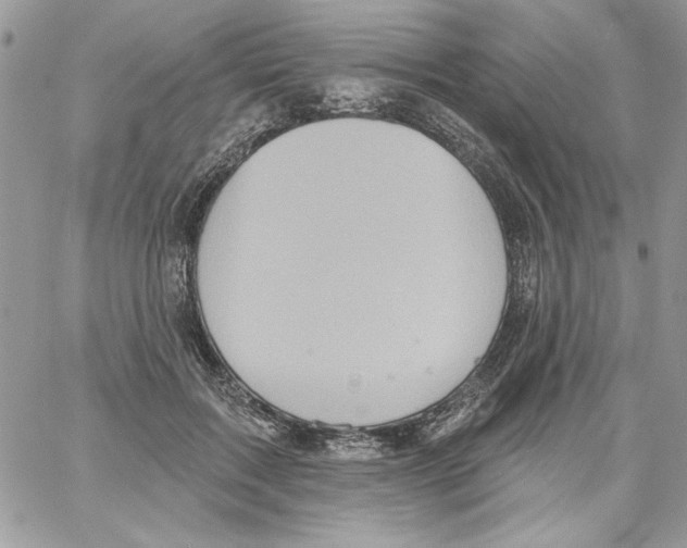 X0000061750603200512302239