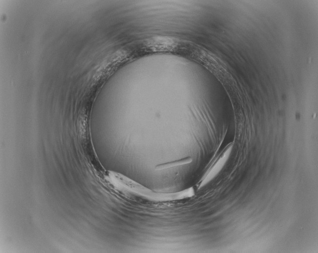 X0000061750604200512302239