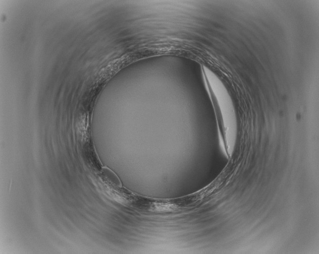 X0000061750605200512302239