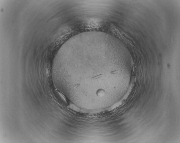 X0000061750608200512302239