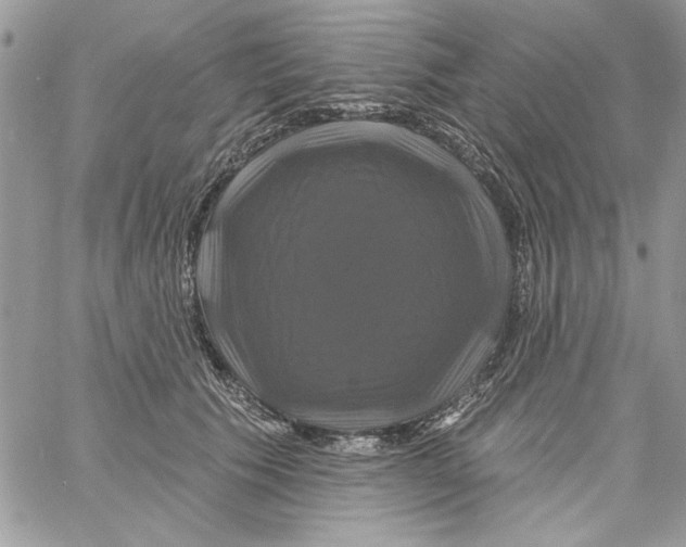 X0000061750609200512302239