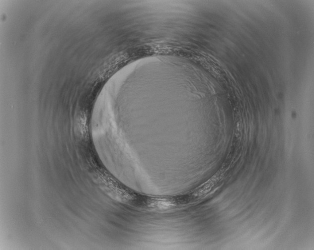 X0000061750610200512302239