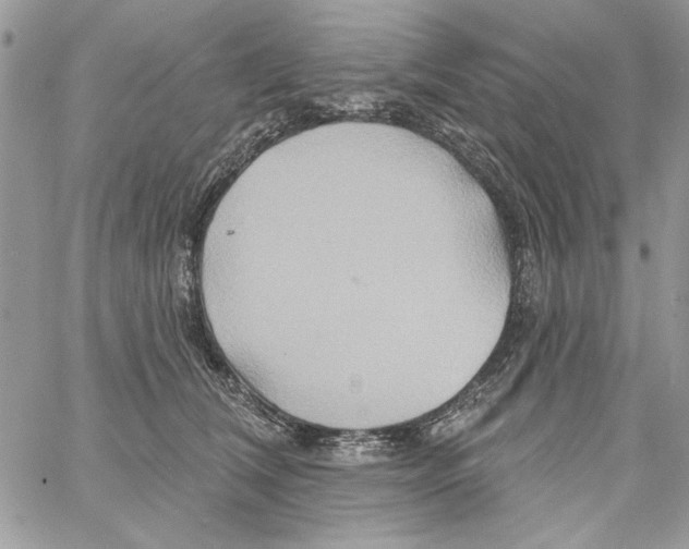 X0000061750612200512302239