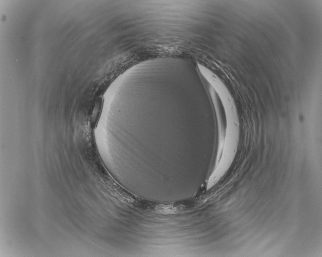 X0000061750613200512302239