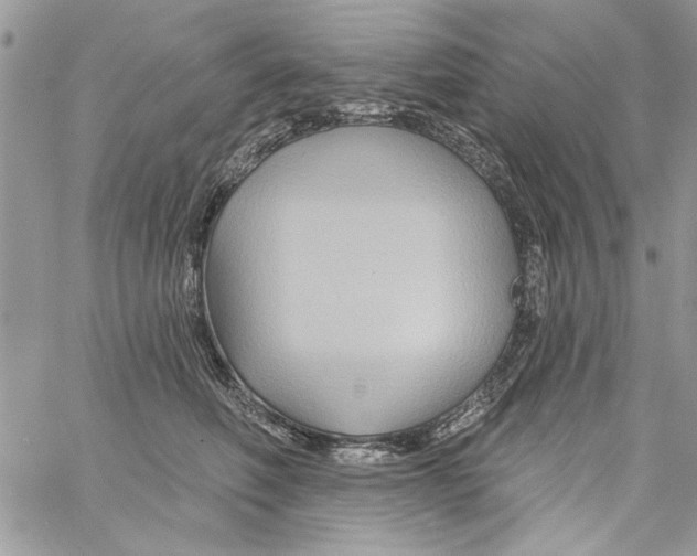 X0000061750614200512302239