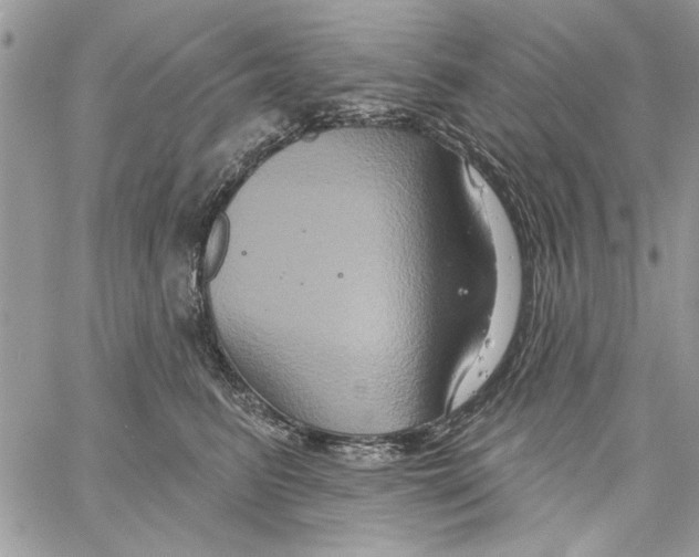 X0000061750615200512302239