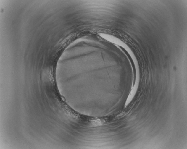 X0000061750616200512302239