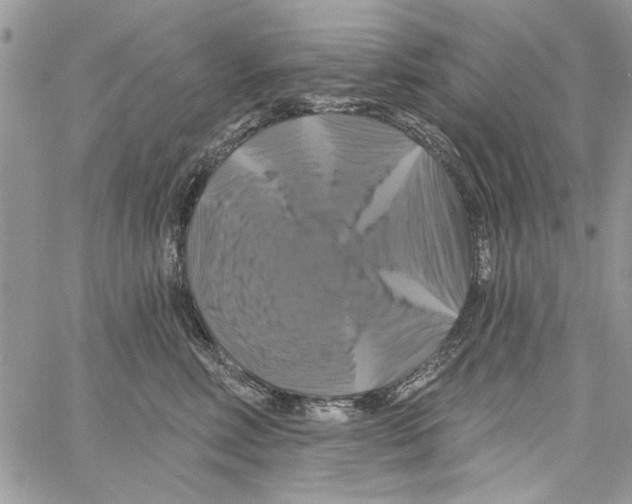 X0000061750618200512302239