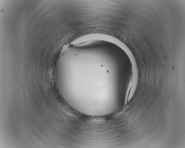 X0000061750619200512302239