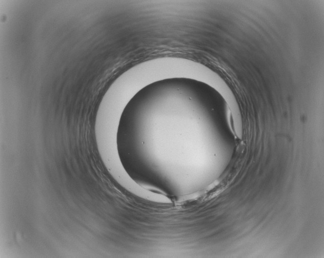 X0000061750621200512302239