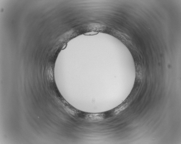 X0000061750622200512302239