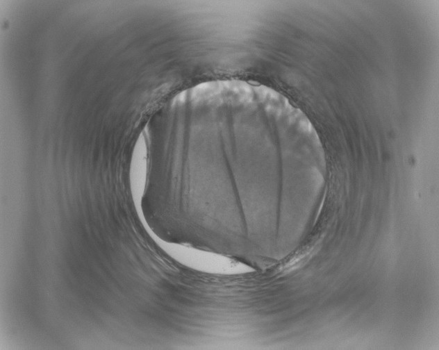 X0000061750624200512302239