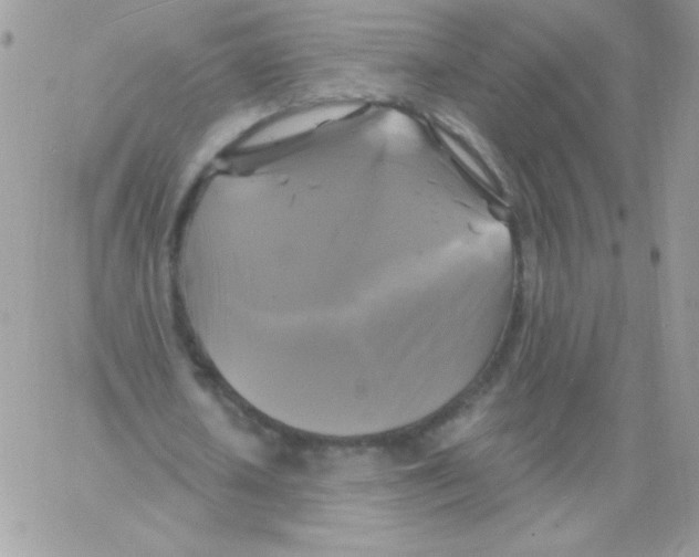 X0000061750626200512302238