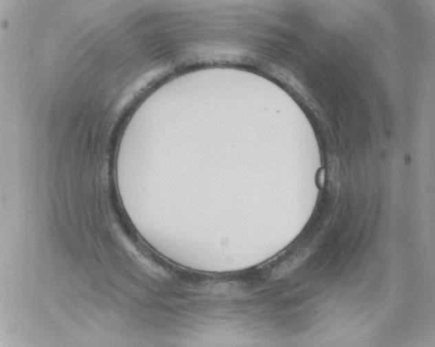 X0000061750629200512302238