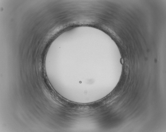 X0000061750631200512302238