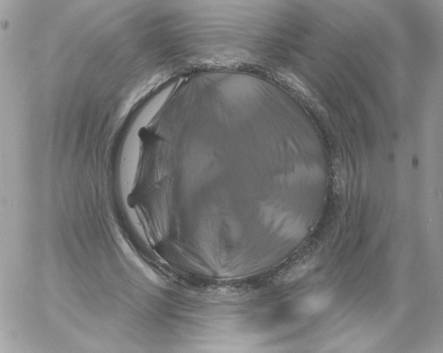 X0000061750634200512302238