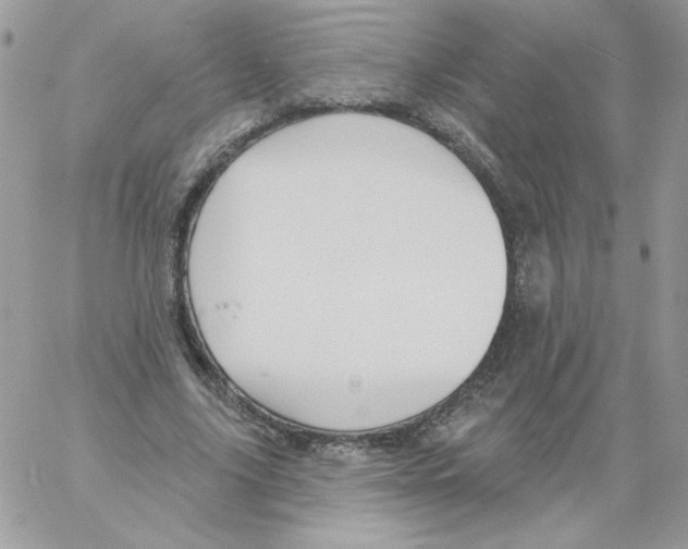 X0000061750635200512302238