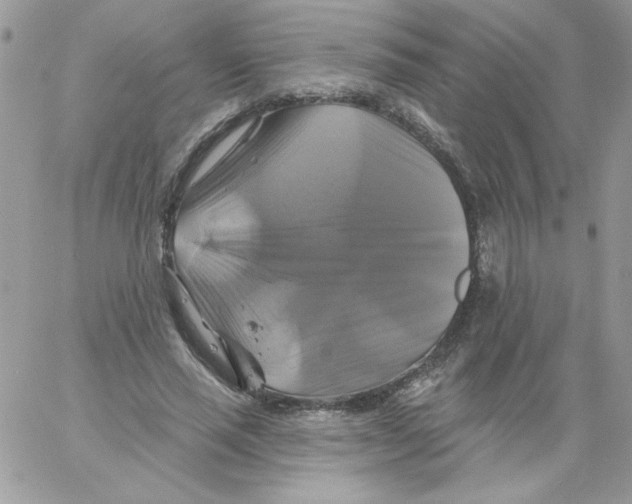 X0000061750637200512302238