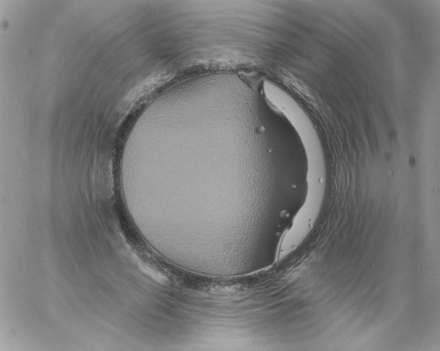 X0000061750638200512302238