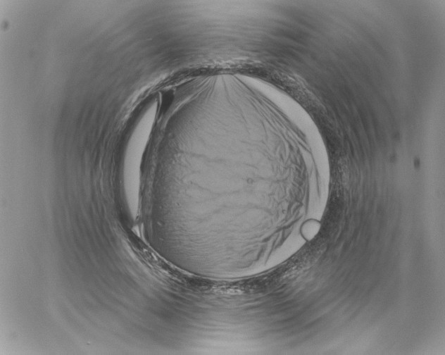 X0000061750640200512302238