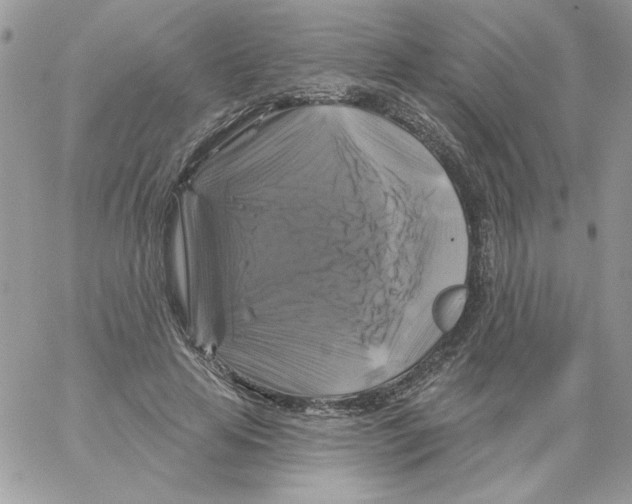 X0000061750641200512302238