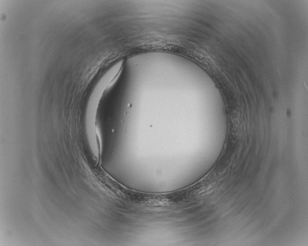 X0000061750642200512302238