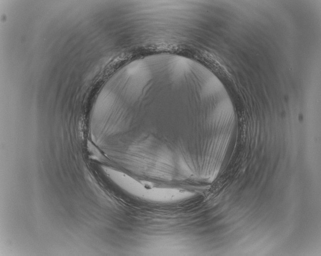 X0000061750643200512302239