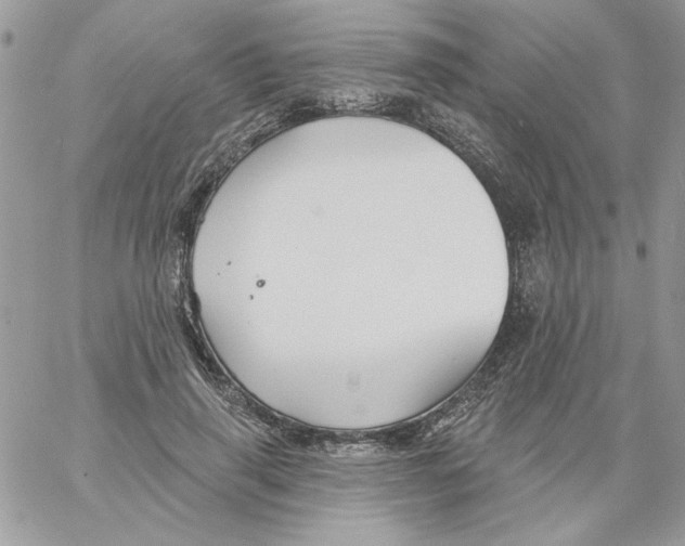 X0000061750645200512302239