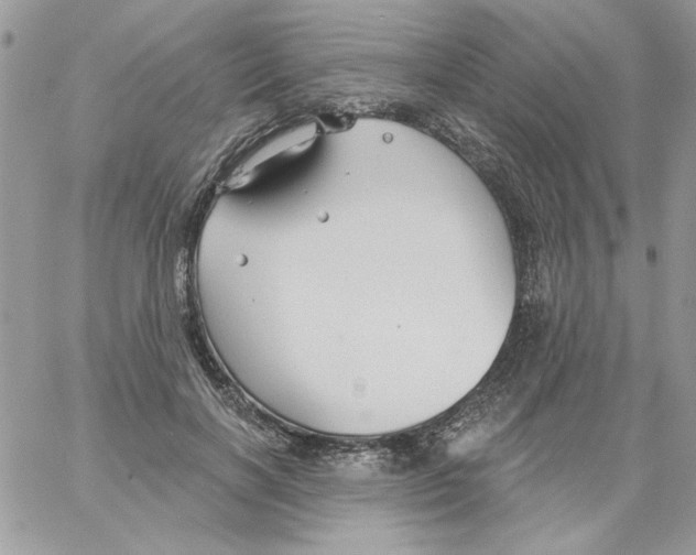 X0000061750646200512302239