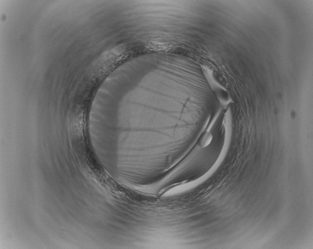 X0000061750647200512302239