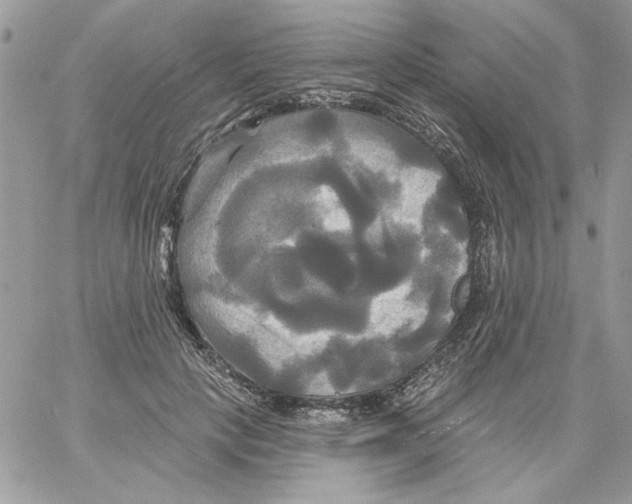 X0000061750649200512302239