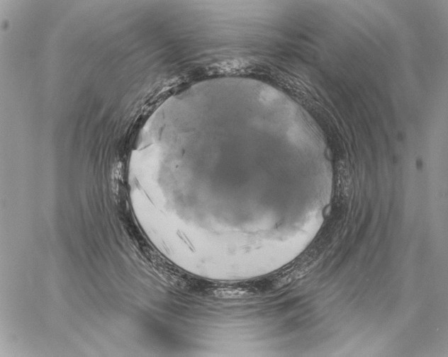 X0000061750650200512302239