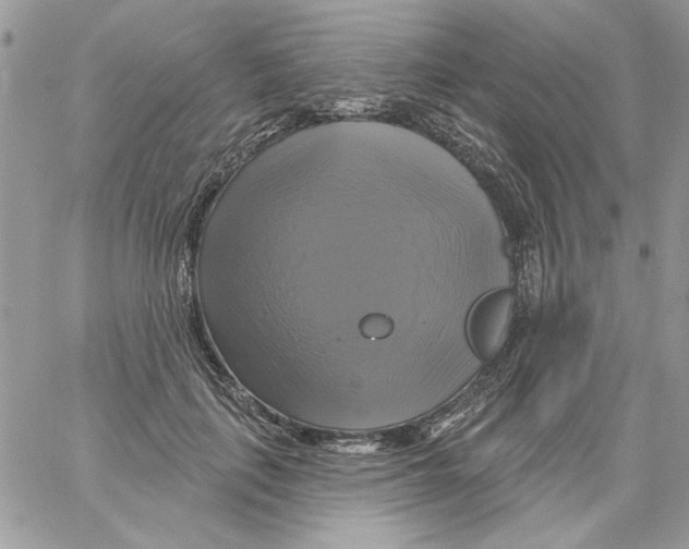 X0000061750651200512302239