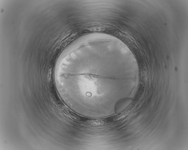 X0000061750652200512302239