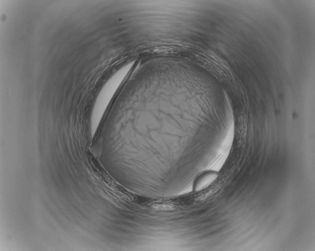 X0000061750653200512302239