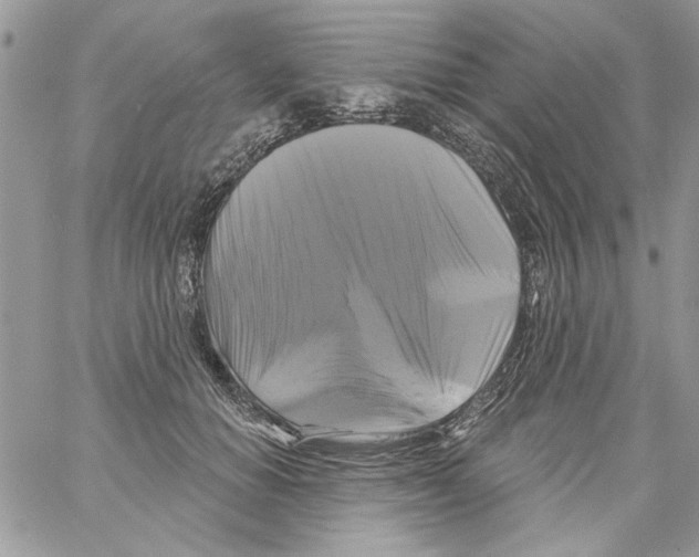 X0000061750654200512302239