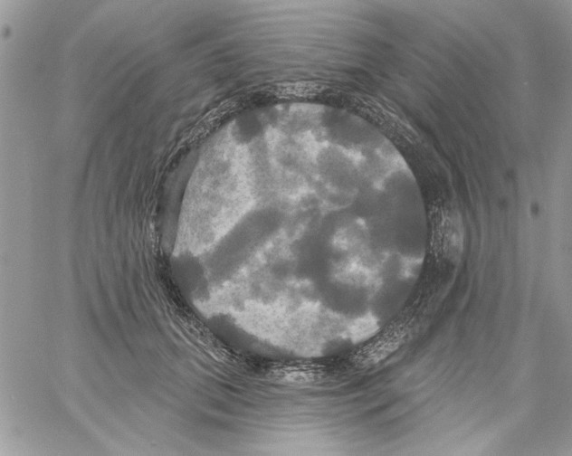 X0000061750655200512302239