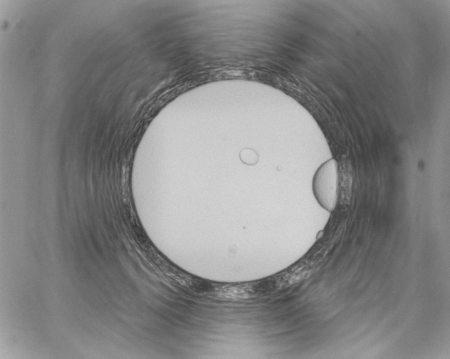 X0000061750656200512302239