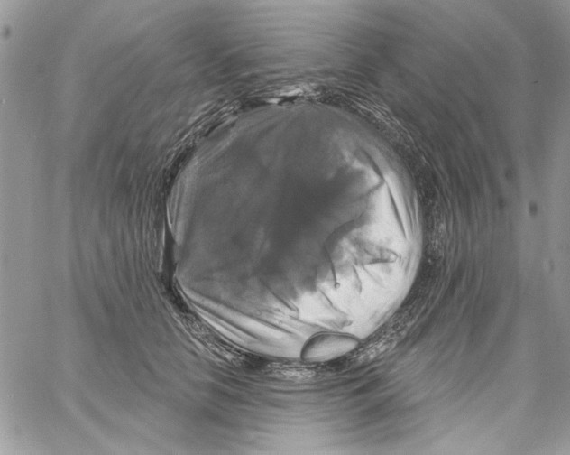 X0000061750658200512302239