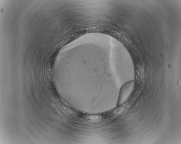 X0000061750659200512302239