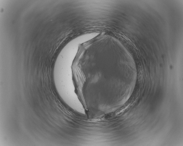 X0000061750661200512302239